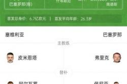 爱游戏下载-塞维利亚遭遇惨败，球队需调整阵容的简单介绍