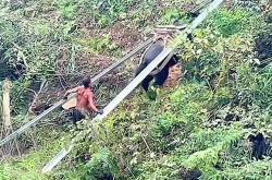 爱游戏投注-湖南队意外遭遇连败，危机四伏