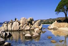 爱游戏app下载地址-包含沸腾！球迷聚集为偶像加油打Call！的词条