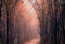 爱游戏网站-拜仁慕尼黑客场横扫多特蒙德 实现主场连胜，拜仁慕尼黑vs多特蒙德全场录像回放