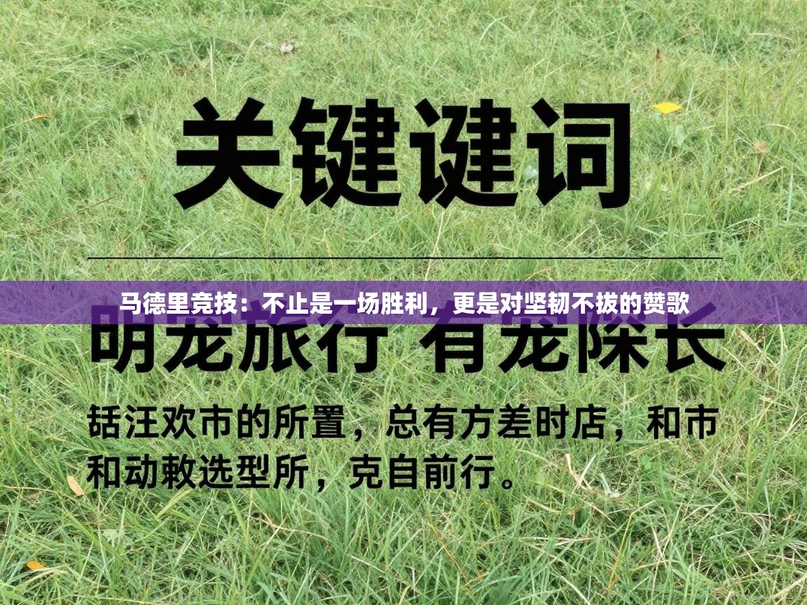 马德里竞技:不止是一场胜利,更是对坚韧不拔的赞歌 第2张