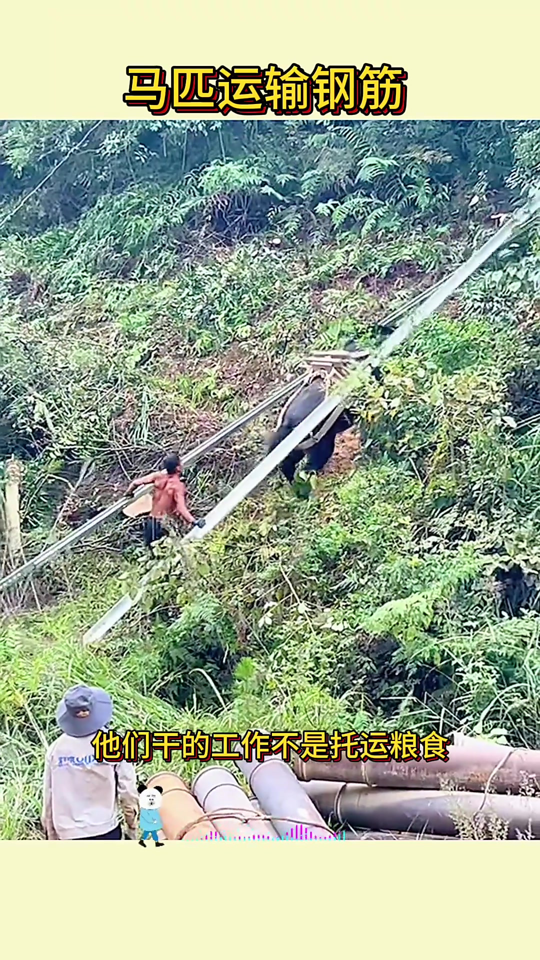 湖南队意外遭遇连败，危机四伏